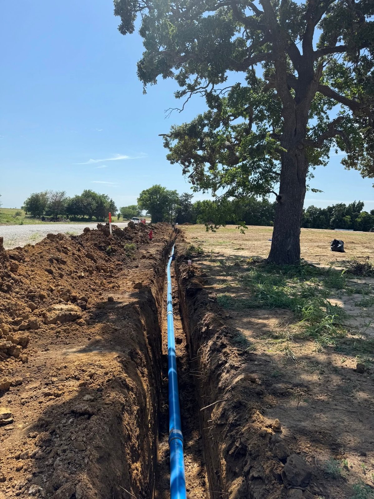 Blue irrigation pipe laid in a trench on rural farmland with a large oak tree and clear sky