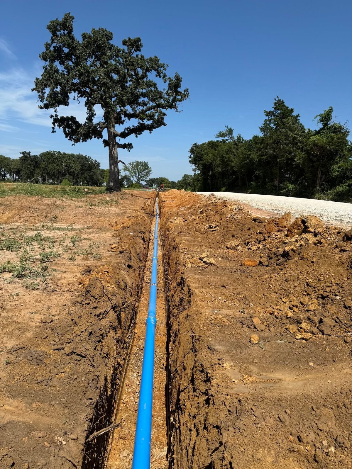 Blue water pipe laid in trench through rural landscape with large tree and cleared ground
