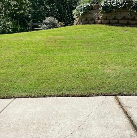 Smart Irrigation: Cut Your Water Bill by 50%