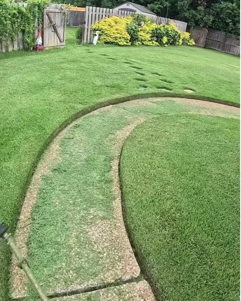 Curved stone pathway winding through a manicured residential backyard with green lawn and wooden fence