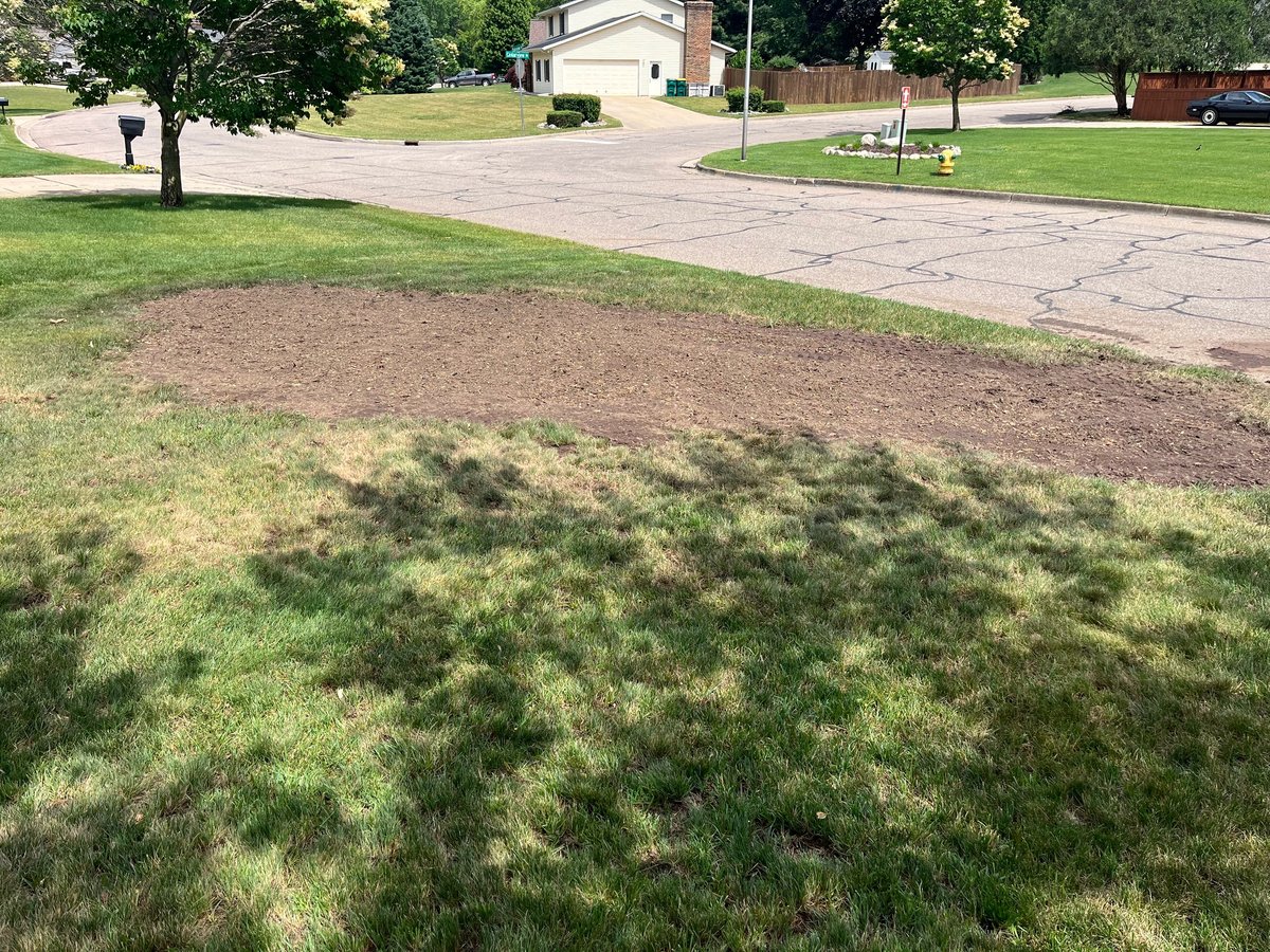 Residential lawn with patchy brown and green grass, a bare soil area, driveway, and houses in background on sunny day