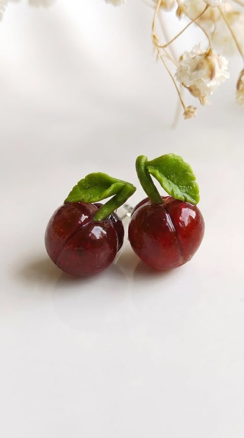 Two dark red cherries with green leaves on white background with dried flowers above