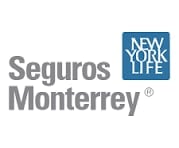 Seguros Monterrey New York Life company logo