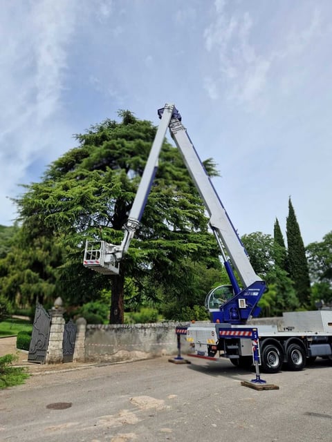 Mobile cherry picker bucket truck trimming large green tree branches in cemetery setting