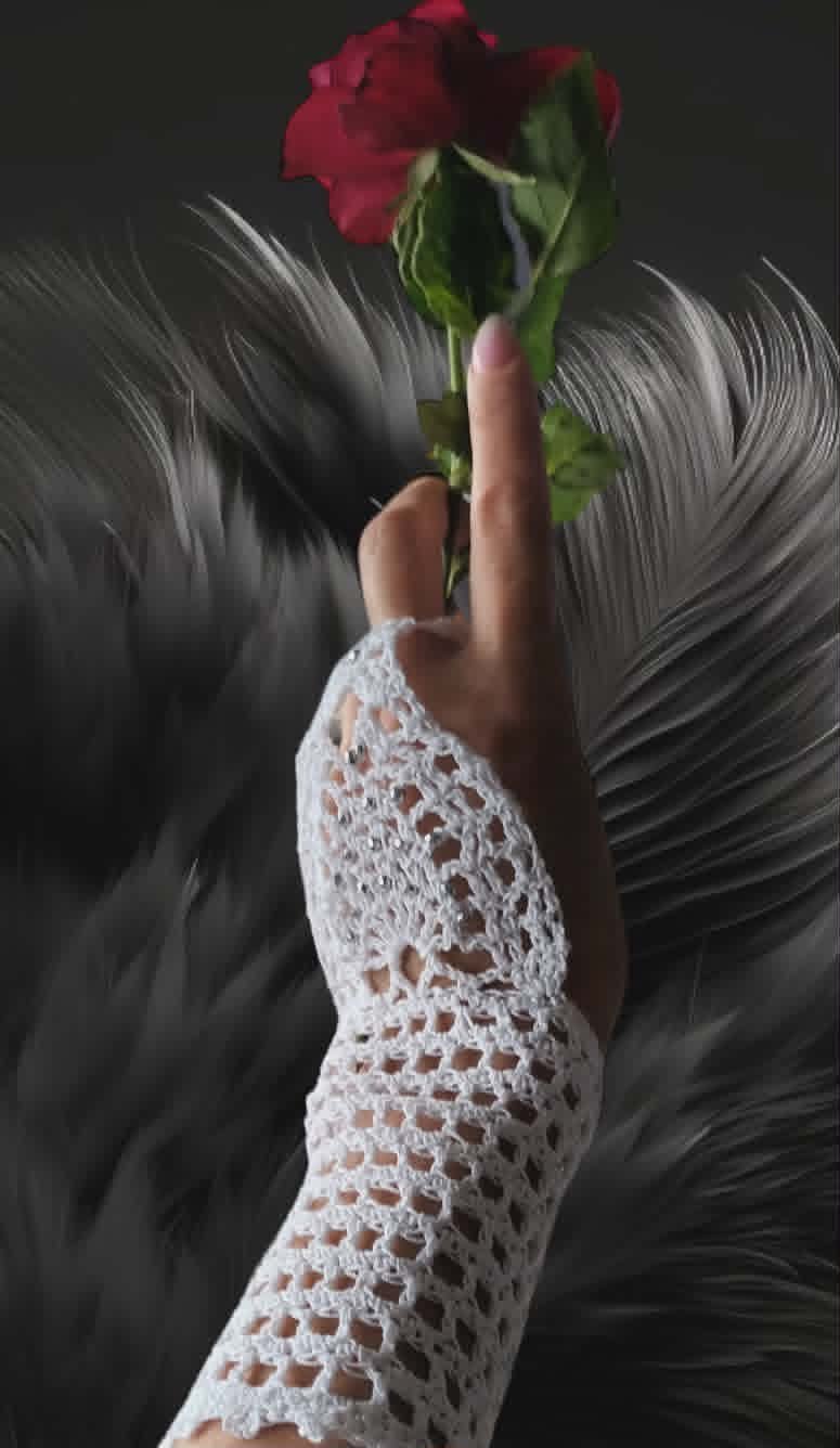 Persons hand in white lace glove holding red rose with green stem against dark background with wings
