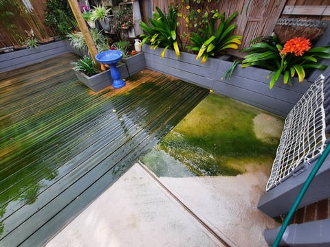 Pressure washing before photo - backyard patio with algae build-up, ready for high-pressure cleaning by Geelong handyman