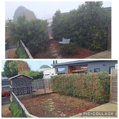 Backyard landscape transformation before and after - hedges, mulch and garden makeover by Geelong handyman