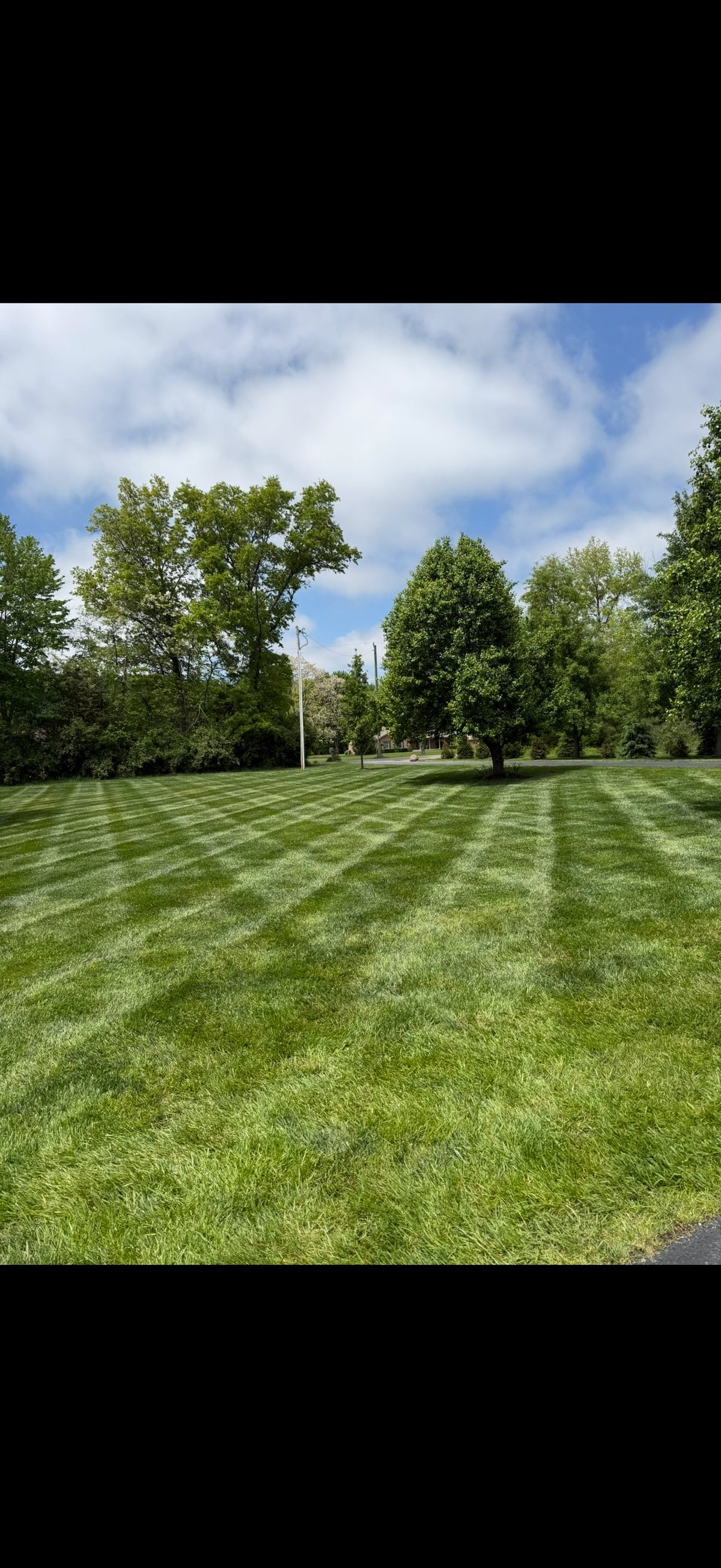 Neatly mowed lawn with diagonal stripe pattern, lined with mature trees, utility pole, and blue sky with clouds