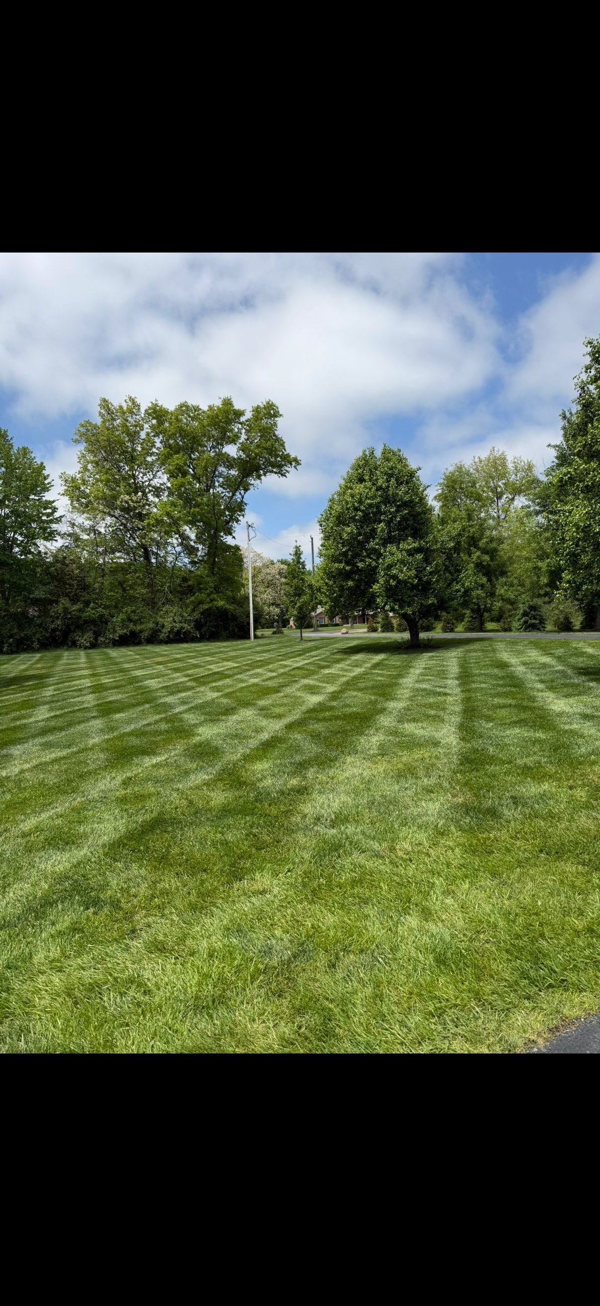 Neatly mowed lawn with diagonal stripe pattern, lined with mature trees, utility pole, and blue sky with clouds
