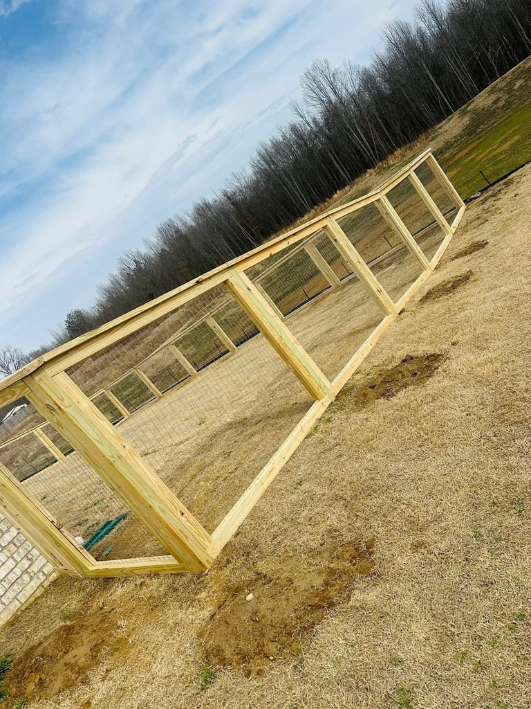 Yellow wooden greenhouse with glass panels on sandy ground near bare trees and green field