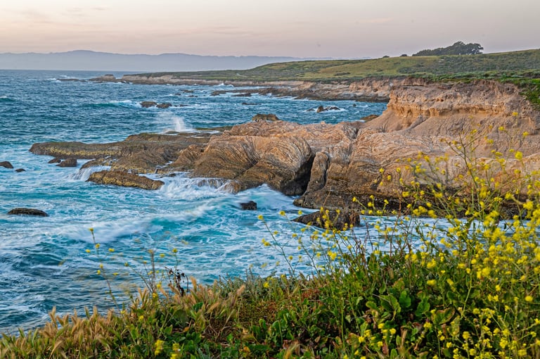 Rocky coastline with turquoise waves, golden cliffs, and wildflowers in foreground under hazy sky