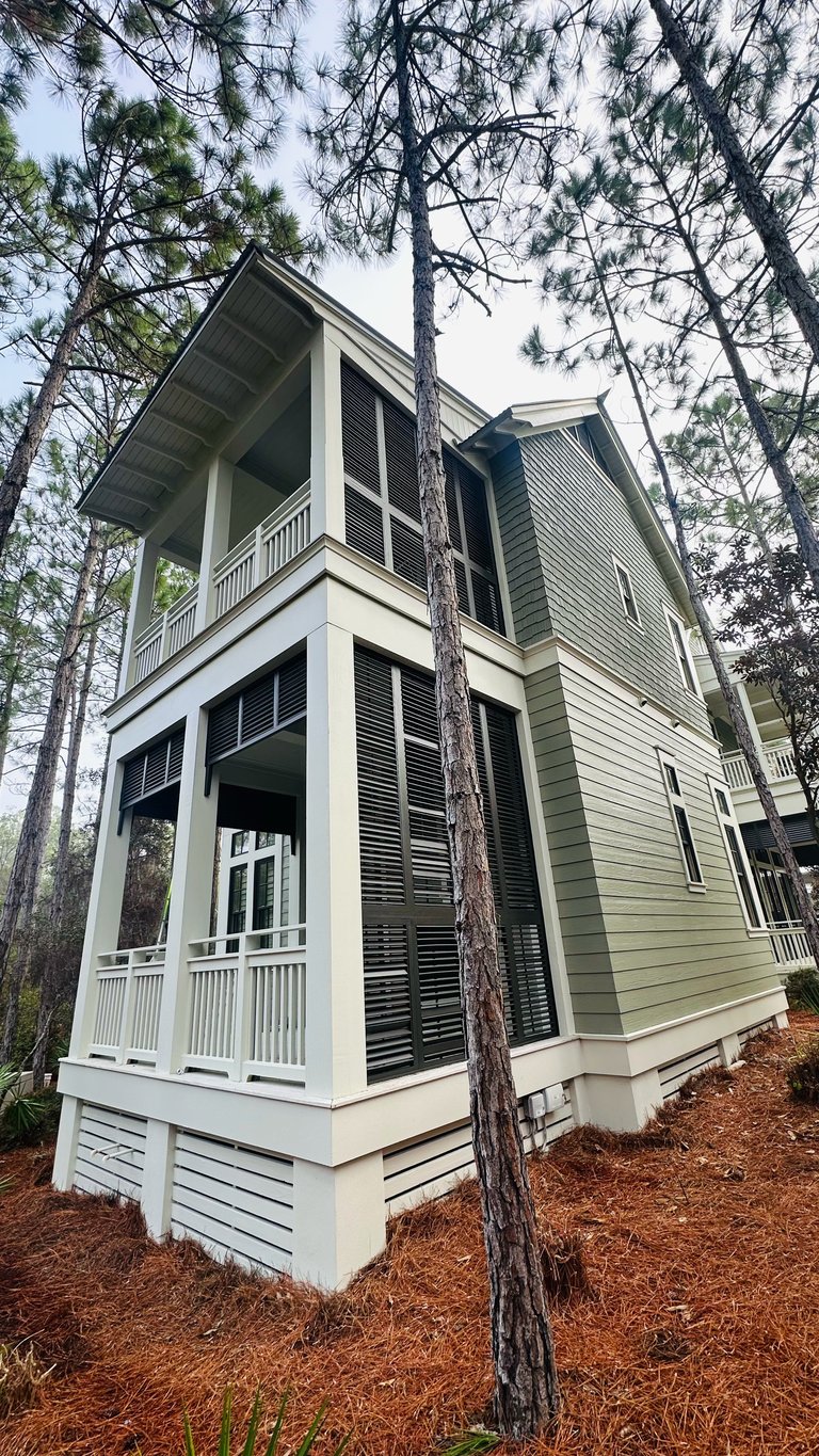 Modern two-story house with green and white exterior surrounded by tall pine trees and brown ground cover