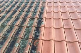 Tile Comparison