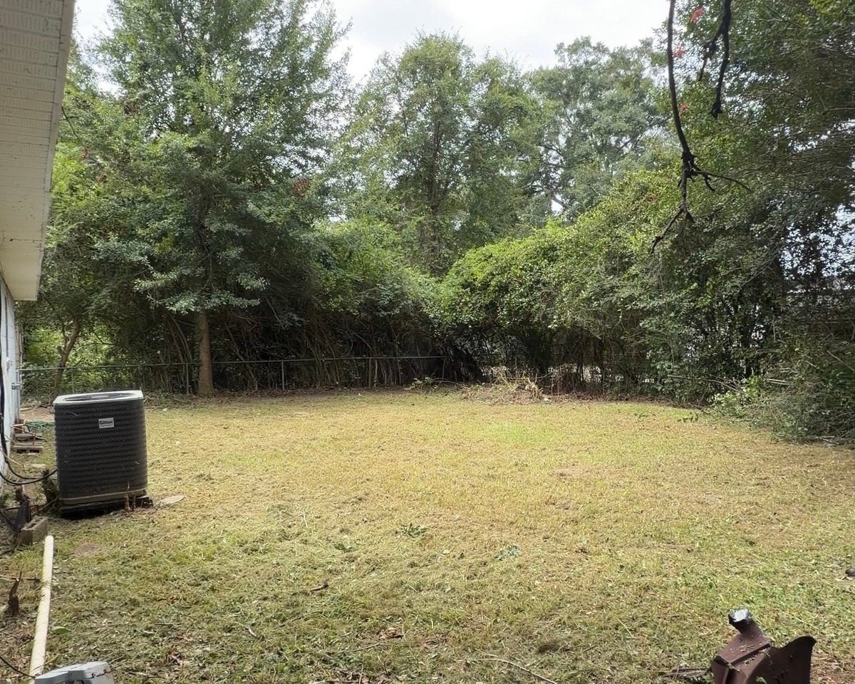 Overgrown field with dense vegetation beside the house cleared to an open, mowed backyard with trees in the background - after