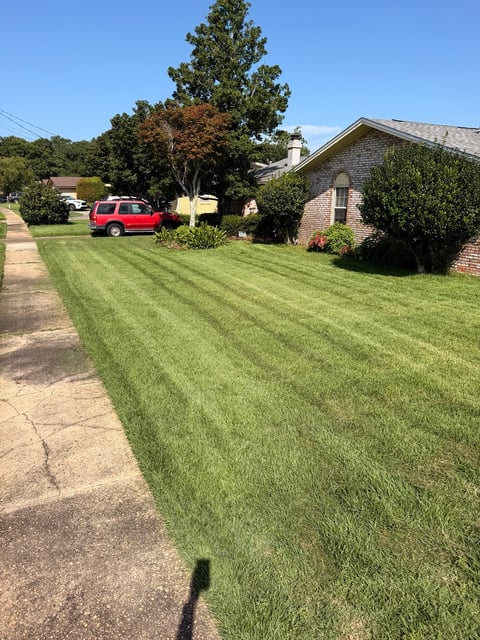Suburban brick home before and after lawn mowing and cleanup - after