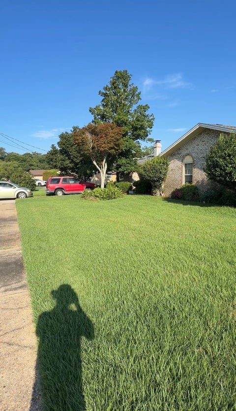 Suburban brick home before and after lawn mowing and cleanup - before