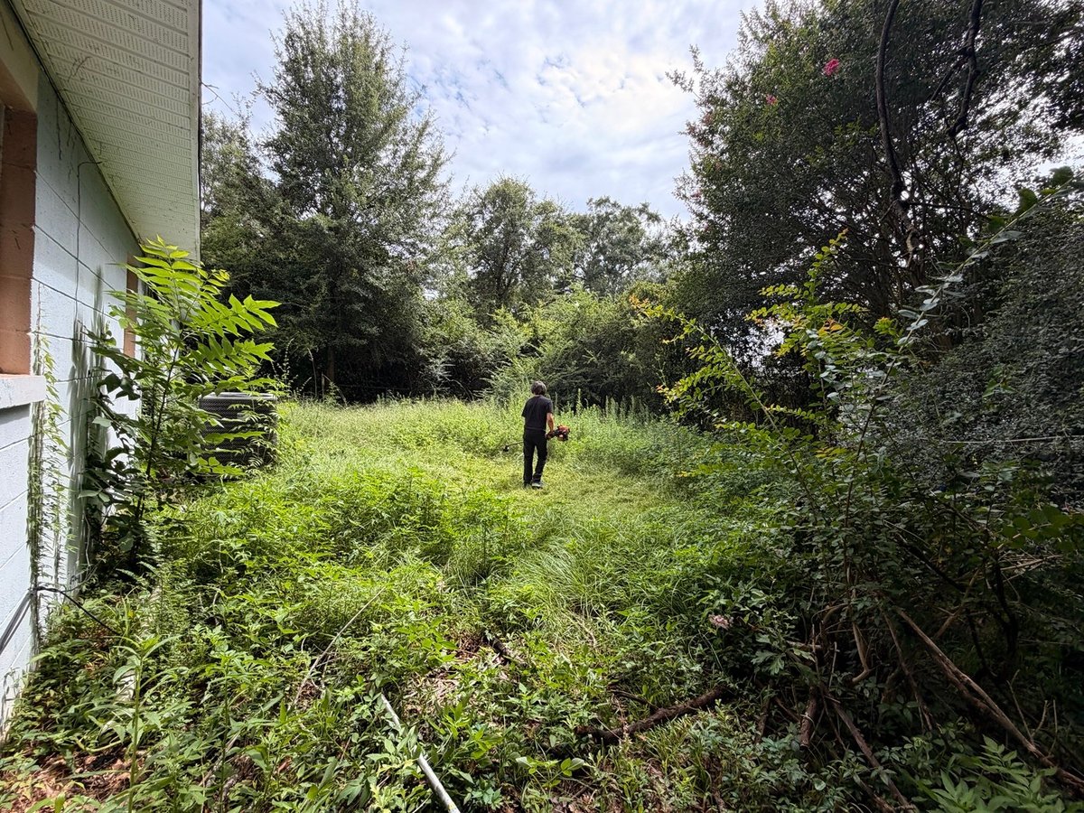 Overgrown field with dense vegetation beside the house cleared to an open, mowed backyard with trees in the background - before