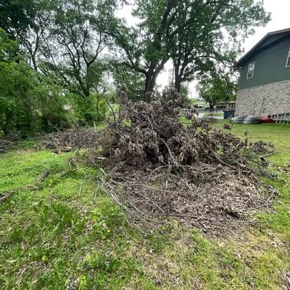 Large pile of uprooted tree branches and debris in a residential yard with green lawn and trees in the background