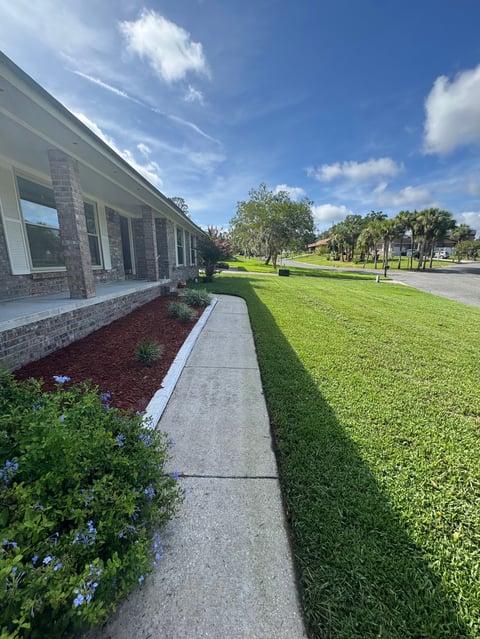Modern brick building with manicured lawn, concrete sidewalk, flowering shrubs, and palm trees lining the street under clear blue sky