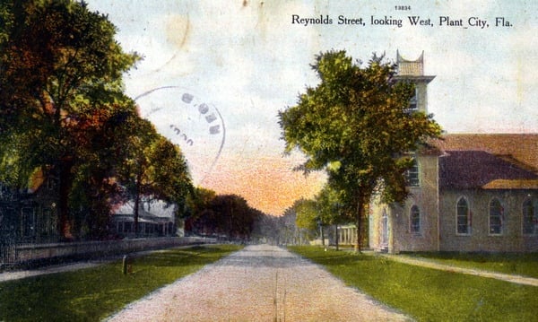 Vintage postcard showing tree-lined Reynolds Street in Plant City, Florida, looking westward with buildings and unpaved road