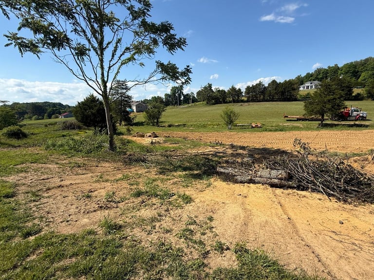 Rural farmland with plowed earth, scattered trees, and green fields under clear blue sky