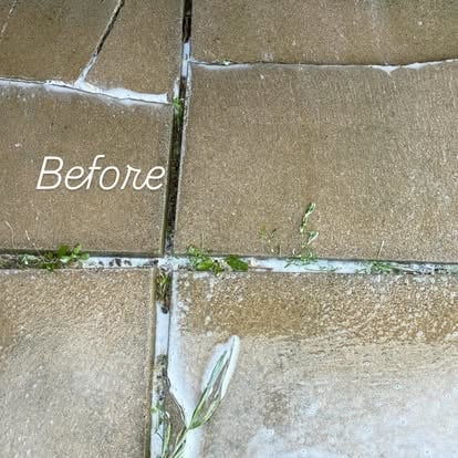 Before photo of dirty outdoor tile or stone surface with moss and algae buildup in grout lines