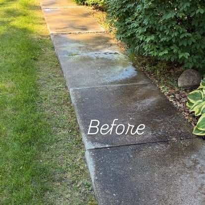 Before: Dirty concrete pathway with moss and algae stains alongside green lawn and ivy-covered hedge