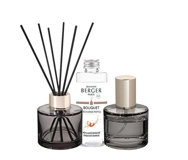 Three Maison Berger home fragrance products: two diffusers with black reeds and a white refill bottle centered between them.