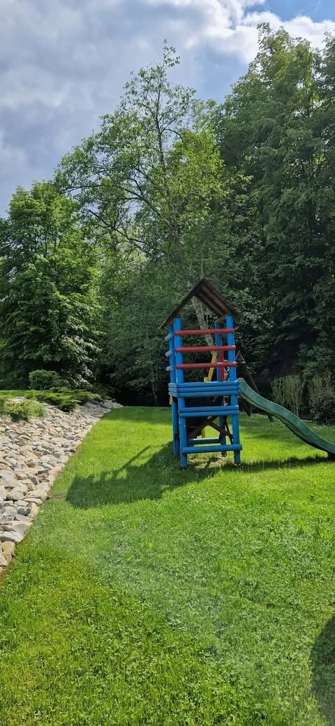 Blue playground slide structure on grass in a backyard with green trees and stone pathway