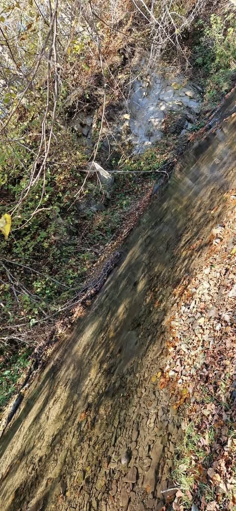 Overgrown stream with shallow water flowing through dense vegetation and bare branches in a natural woodland setting