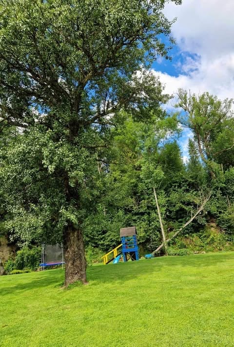Green park with large trees, playground equipment, and blue sky with clouds overhead