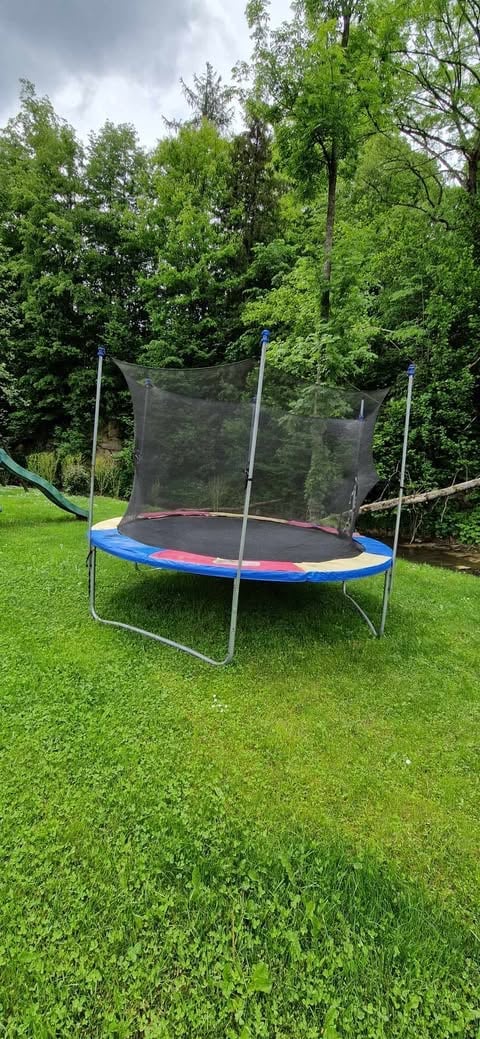 Trampoline with blue padding and safety net in a lush green backyard surrounded by dense trees