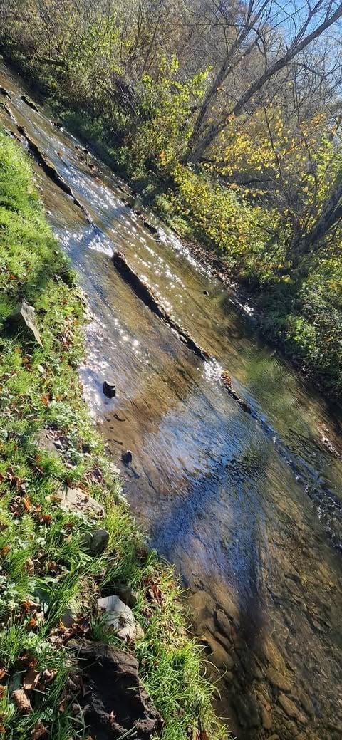 Aerial view of a rocky stream flowing through wooded area with green vegetation and trees lining both banks