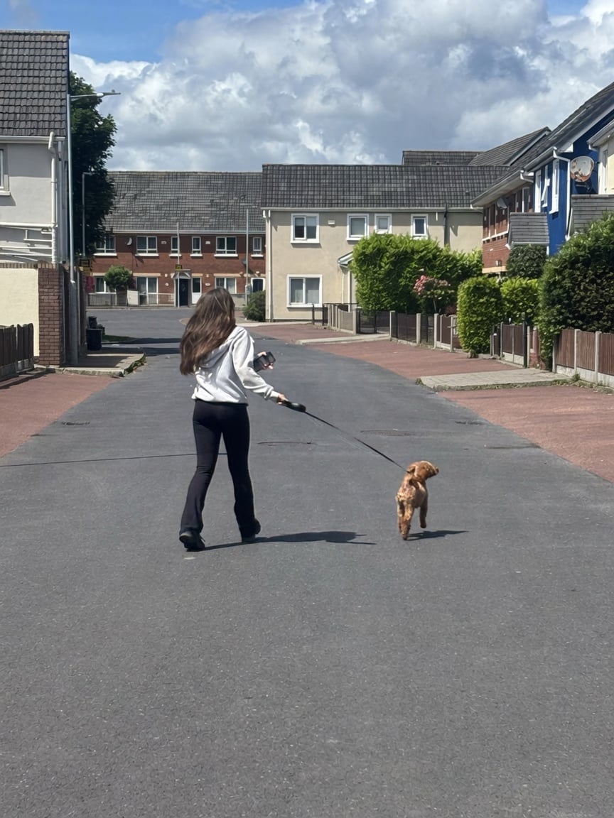 Person walking small brown dog on a leash down a residential street with brick townhouses and blue sky with clouds
