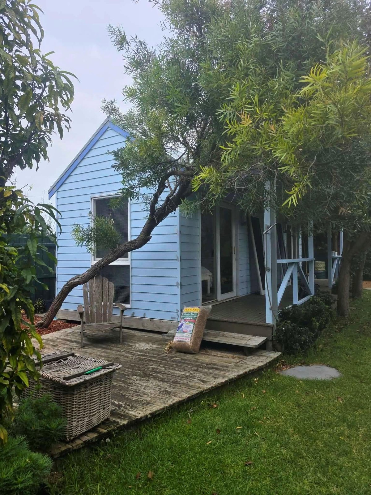 Blue wooden cottage with wooden deck, surrounded by green lawn and trees, featuring a curved tree branch and white railings