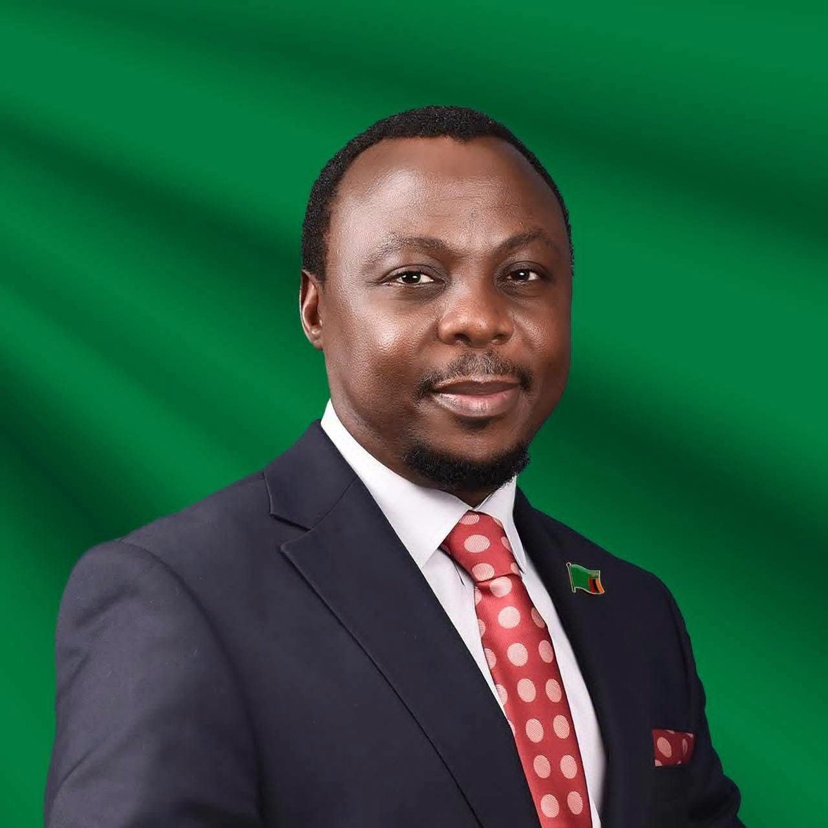 Professional headshot of a man in a dark suit, white shirt, and red polka dot tie against a green background