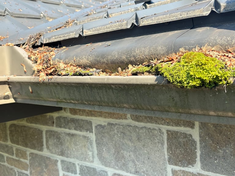 Clogged roof gutter filled with debris, moss, and leaves above brick wall