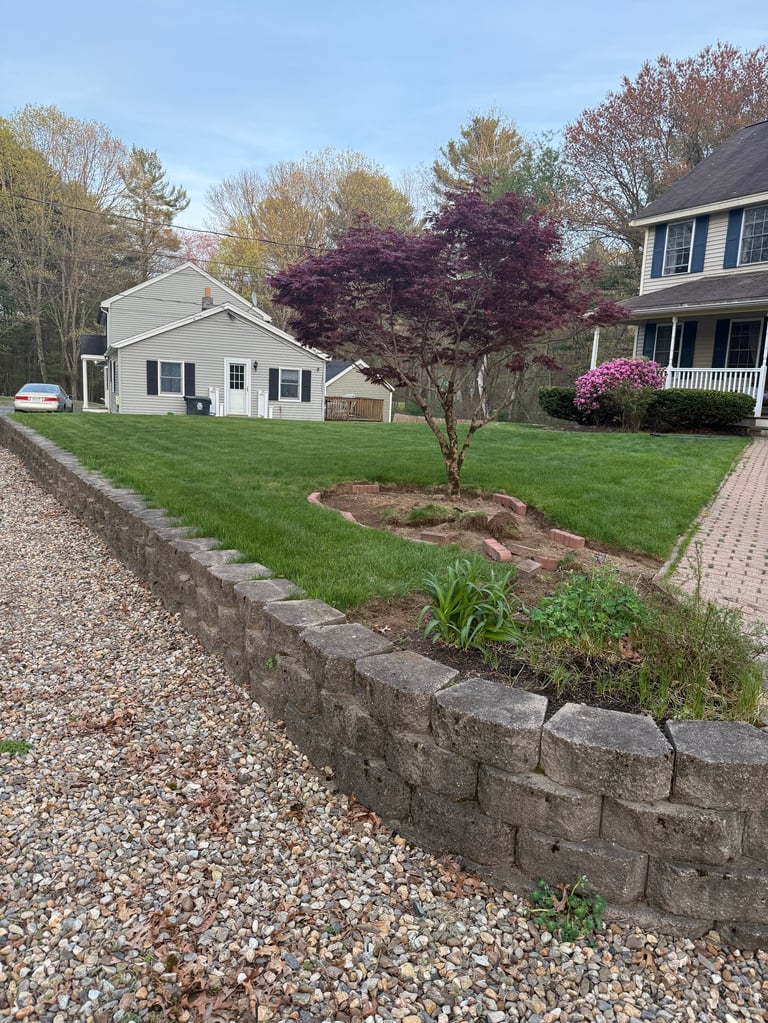 Suburban property with white house, two-story home, blooming purple tree, stone retaining wall, and manicured lawn