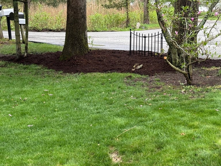 Green lawn with tree, mulched garden bed, white fence, and metal gate in residential yard