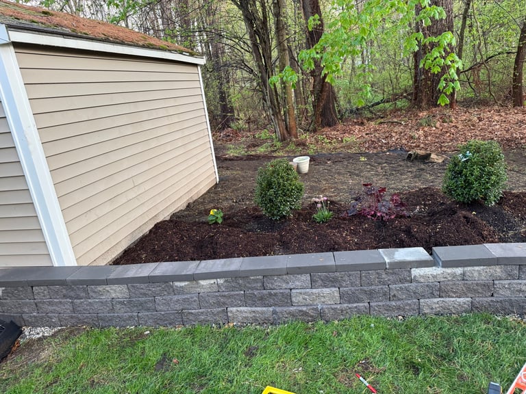 Newly landscaped garden bed with stone retaining wall, mulch, and small shrubs beside a white shed surrounded by trees