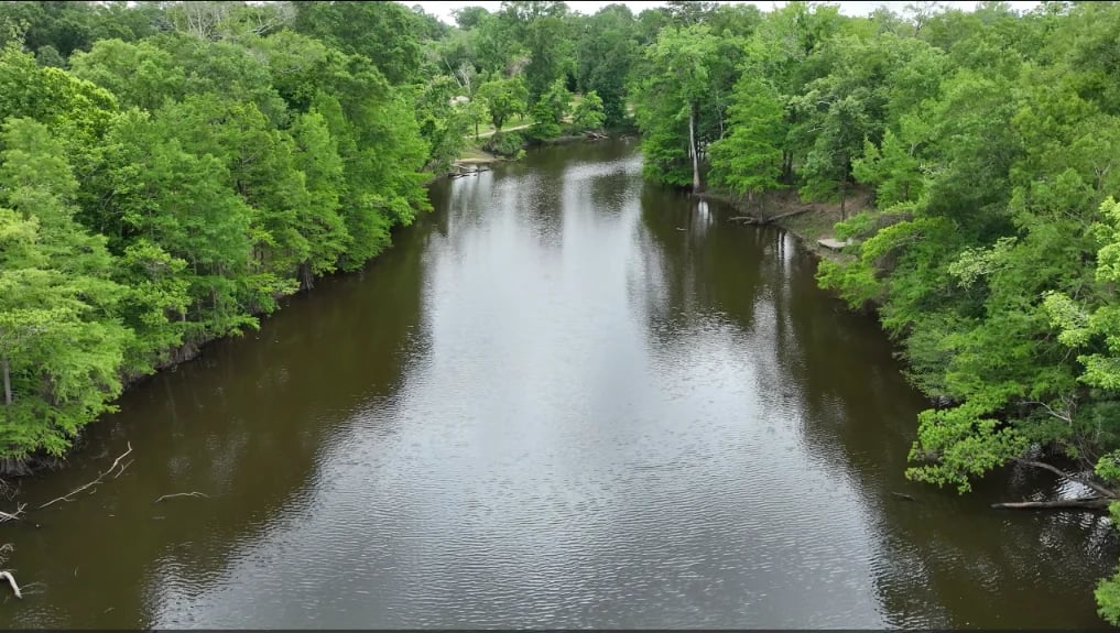 Aerial view of a river flowing through dense green forest, reflecting sky on calm water