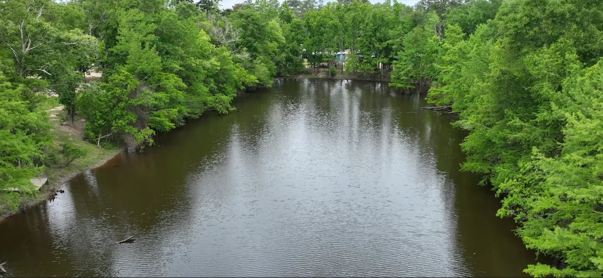 Calm river flowing through lush green forest with trees lining both banks