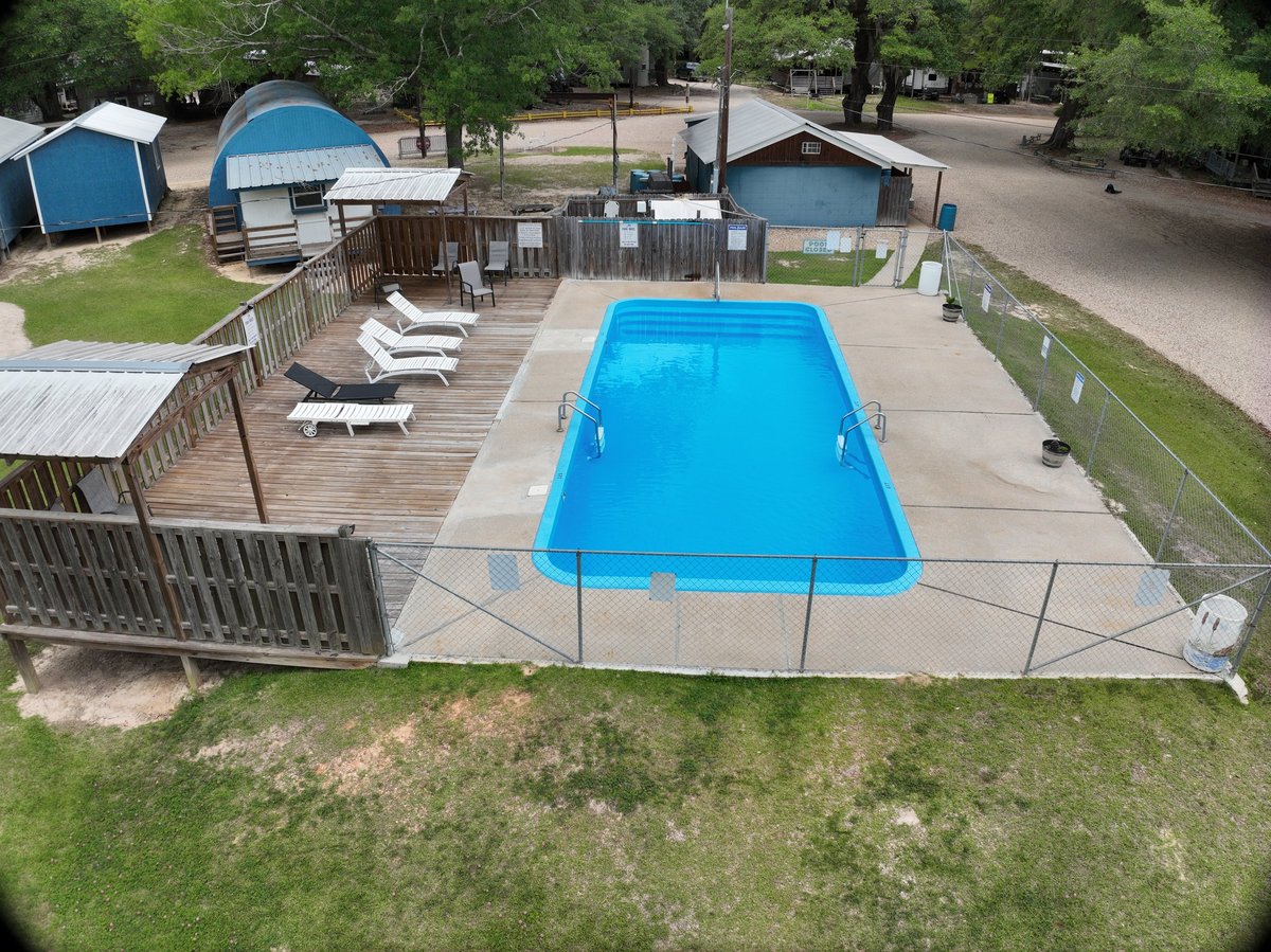 Bright blue rectangular swimming pool with lounge chairs and surrounding trees