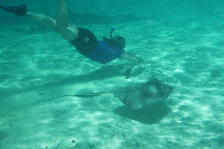 Snorkeler in blue rash guard swimming near two stingrays in shallow turquoise ocean water in Roatán