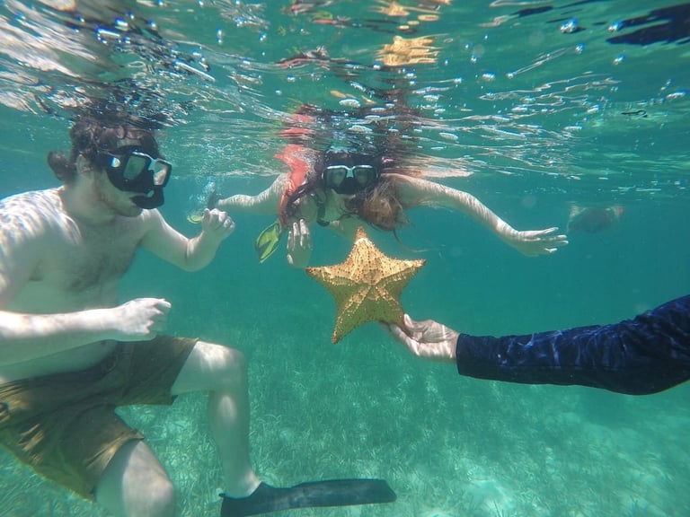 Two snorkelers underwater holding a starfish together in clear turquoise Caribbean water in Roatán