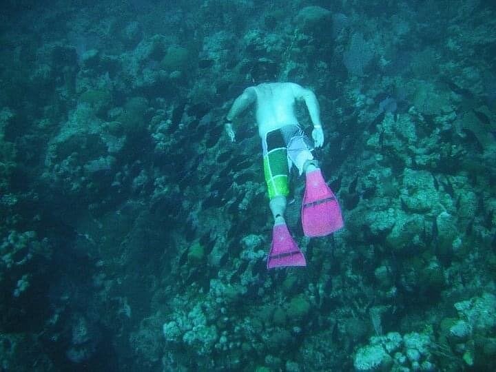 Aerial view of a snorkeler with pink and green fins swimming downward toward a rocky reef in Roatán