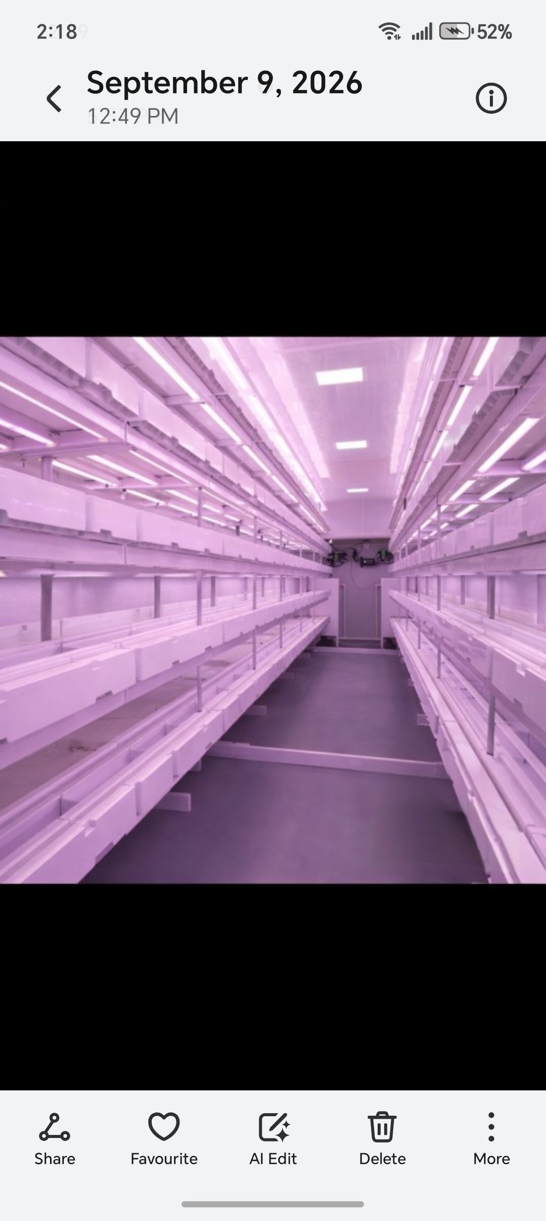 Empty indoor agricultural greenhouse with purple LED grow lights and empty shelving units stretching down a long central aisle