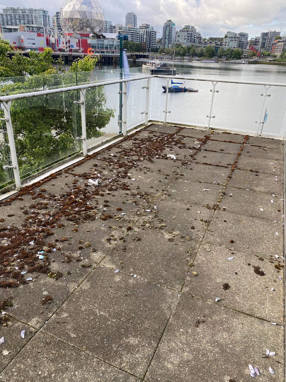 Concrete deck with metal railing overlooking river, boats, and cityscape with high-rise buildings