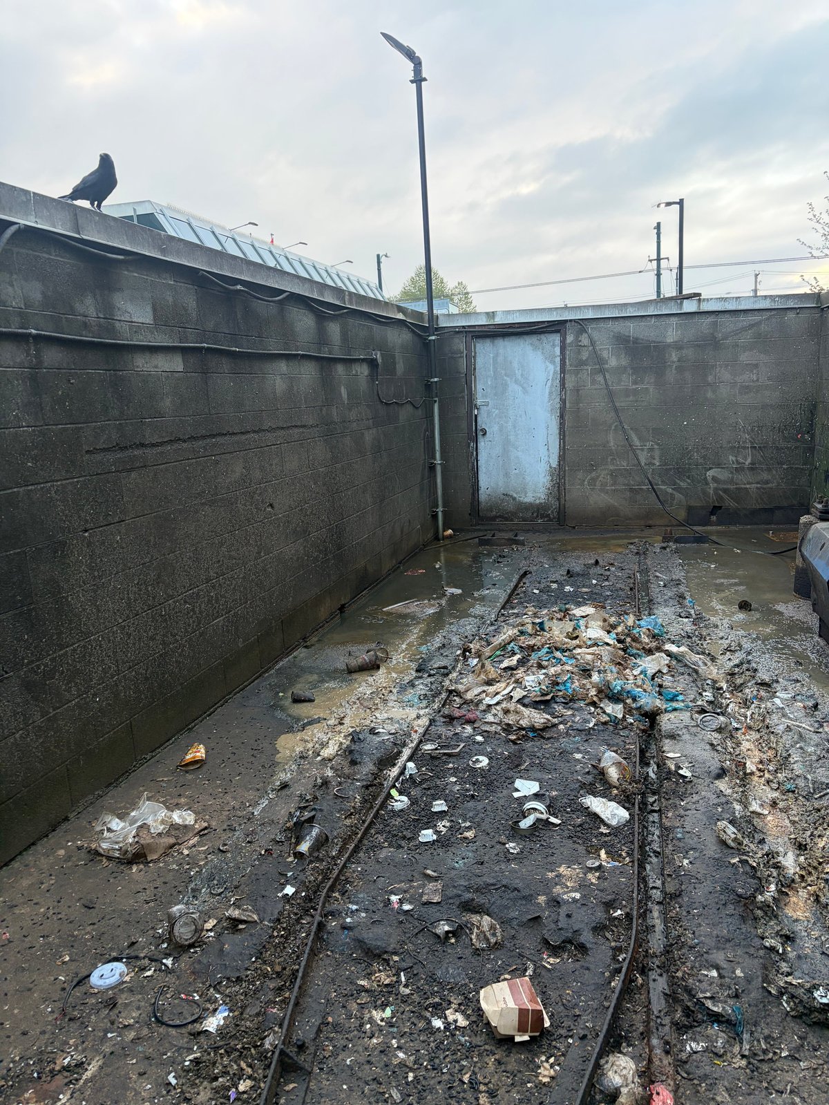Concrete industrial compound with scattered debris, metal poles, and a bird perched on the roof wall