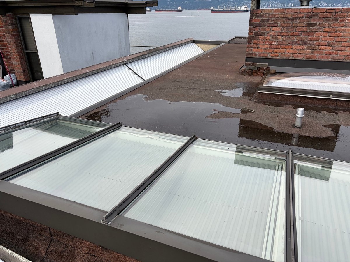 Rooftop with multiple skylights and HVAC units overlooking waterfront cityscape